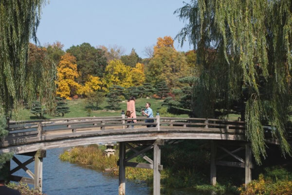 man proposes to his fiance at chicago botanic gardens