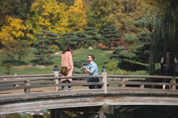 man proposes to his fiance at chicago botanic gardens