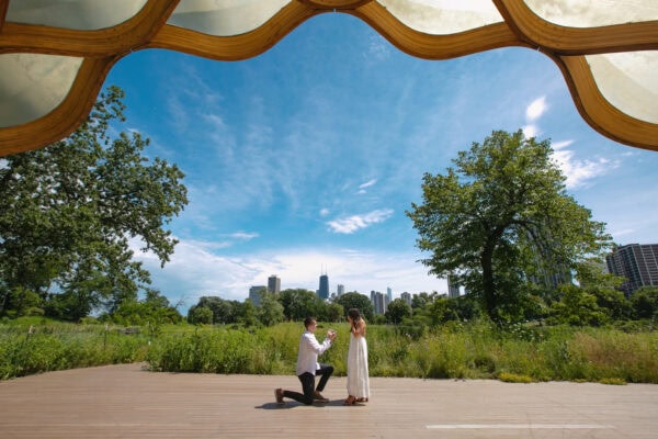 man proposes to fiance at lincoln park zoo chicago